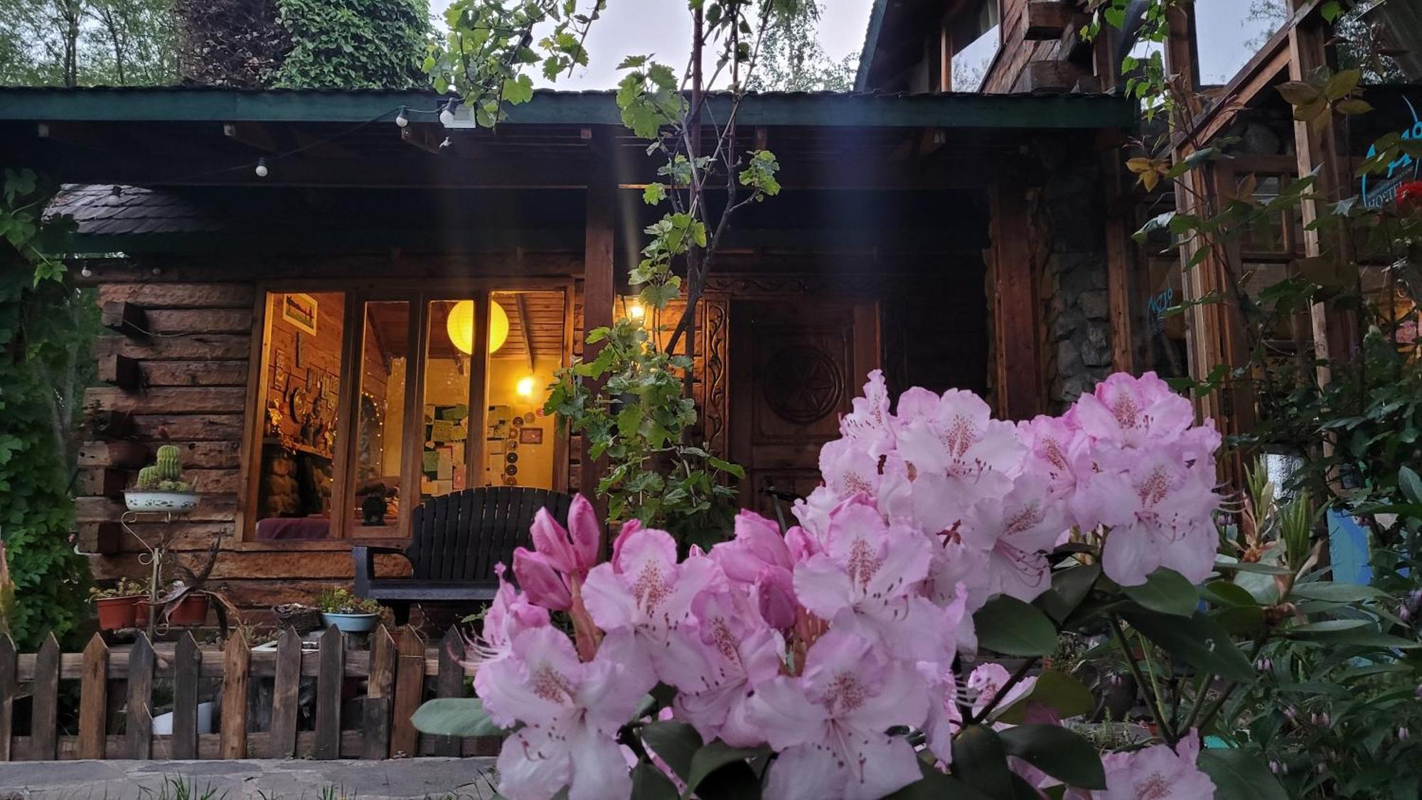 Hostel Meridiano 71 เอลโบลซอน ภายนอก รูปภาพ
